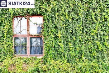 Siatki Dobre Miasto - Siatka z dużym oczkiem - wsparcie dla roślin pnących na altance, domu i garażu dla terenów Dobrego Miasta